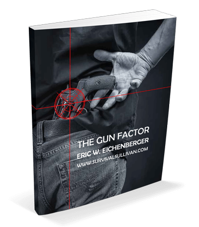 [Image: The_Gun_factor_ecover_v1_3d.png]